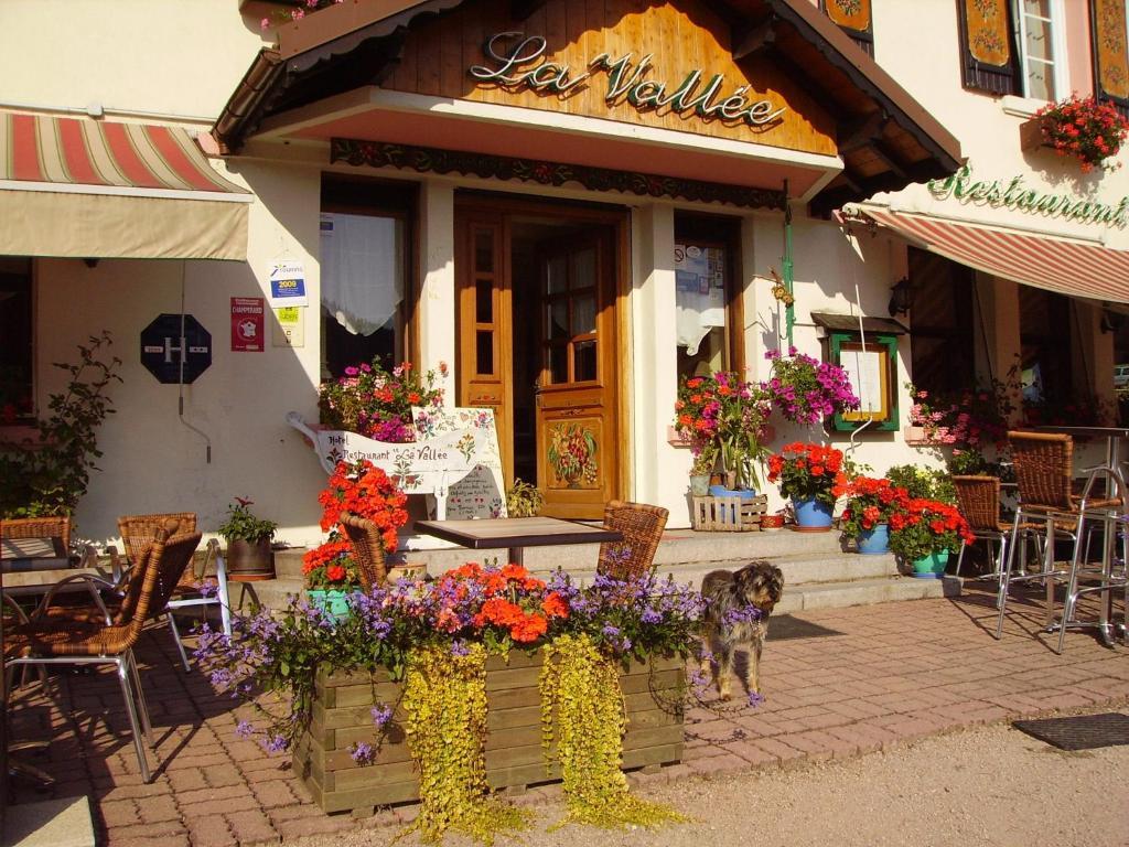 Hôtel La Vallée Xonrupt-Longemer Extérieur photo